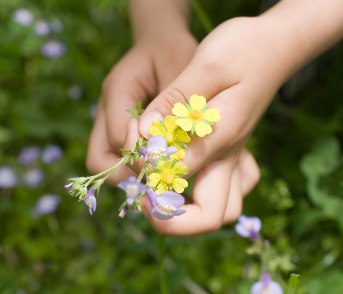 FLOWERS (18)